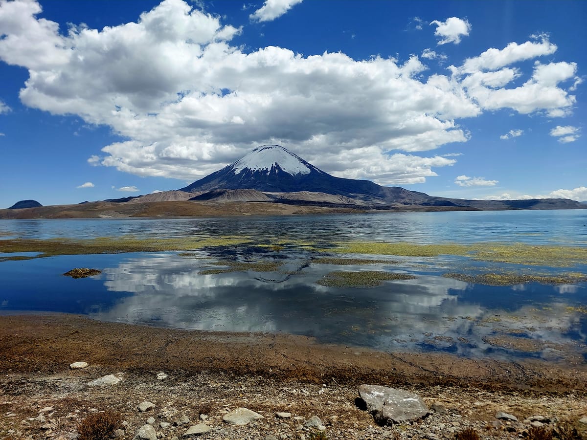 Lago Chungará: El Espejo del Altiplano