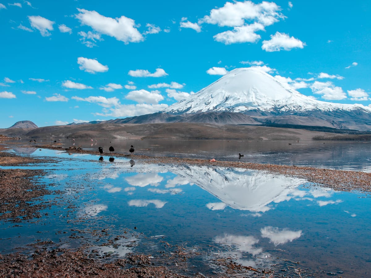 Lago Chungará 3 Días
